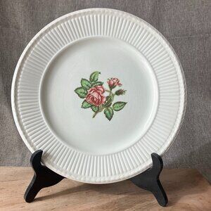 Vtg Wedgwood Edme Moss Rose Porcelain Brown Stamp 60s Dinner Plate